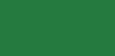 Smalto sintetico per interno ed esterni reflex verde bandiera 750 ml